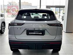 جیتۆر داشينگ